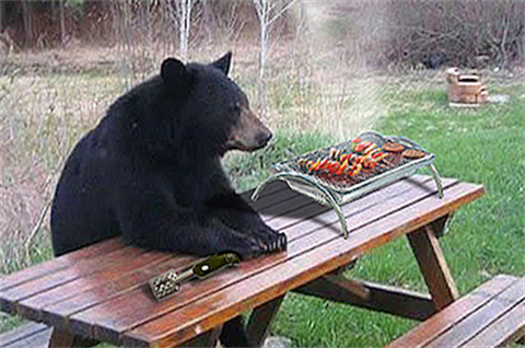 eat like a bear (2).png