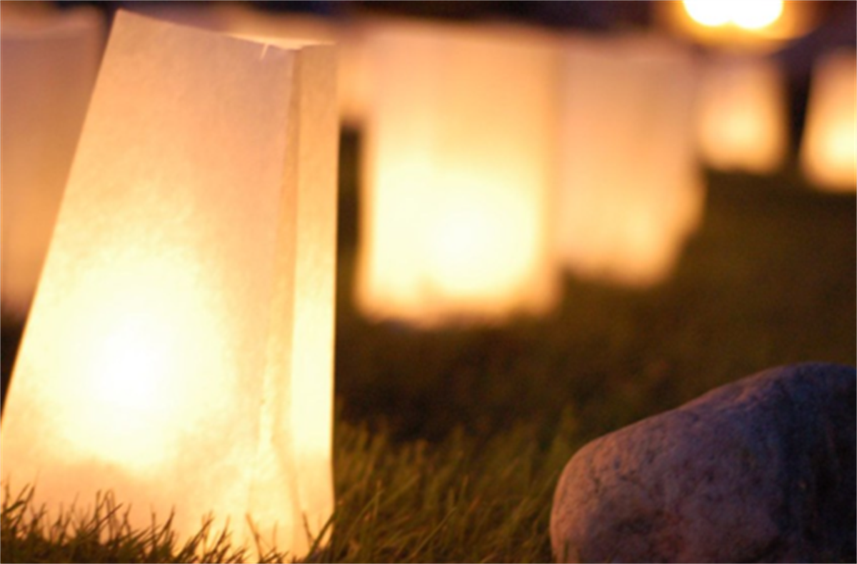 Los Alamos Lights for Peace at Ashley Pond Park