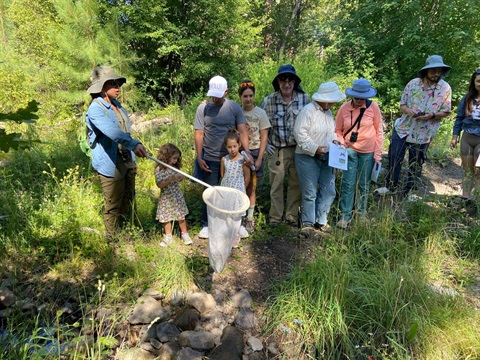 PEEC Butterfly walk .jpg