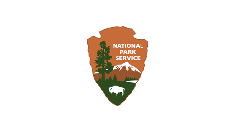 NPS.png