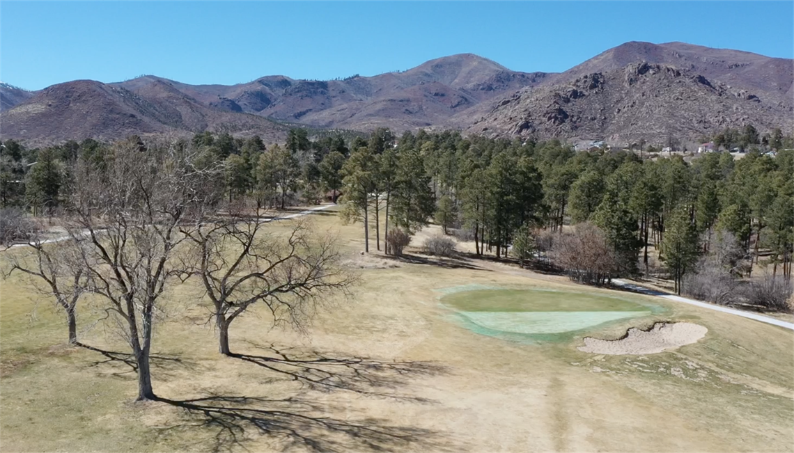 Picture of golf course green, with hibernating grass, trees, and mountains in the background, with a blue sky