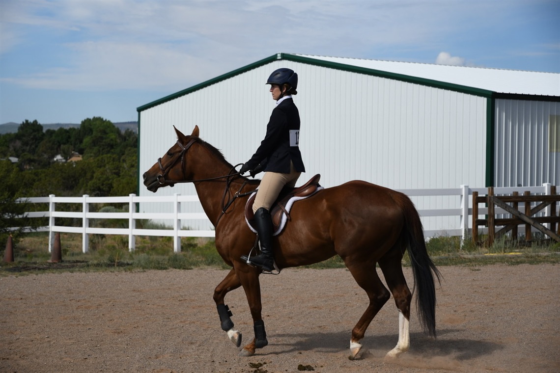 Lady on brown horse dressed in dressage gear