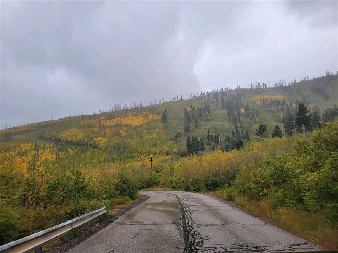 Photo of Camp May Road lined with Aspens and other fall foliage